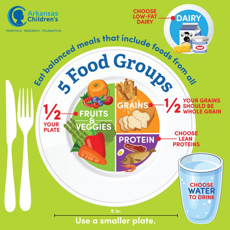 Five food groups