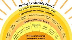 Graphic of shared governance structure.
