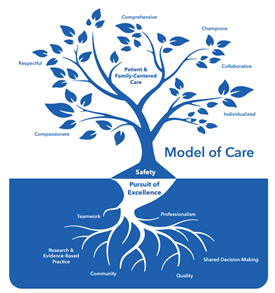 Graphic for the model of care.